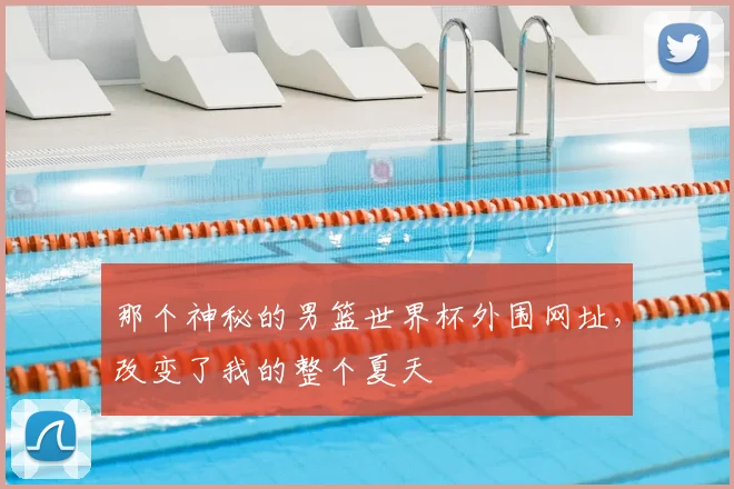 那个神秘的男篮世界杯外围网址，改变了我的整个夏天