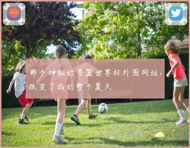 那个神秘的男篮世界杯外围网址，改变了我的整个夏天