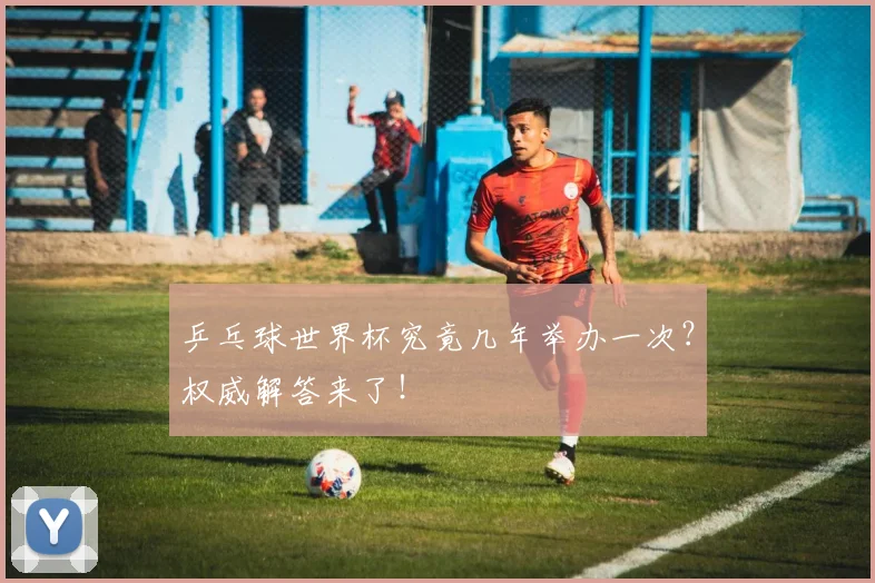 乒乓球世界杯究竟几年举办一次？权威解答来了！